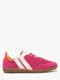 pop flamingo