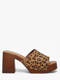 leopardo