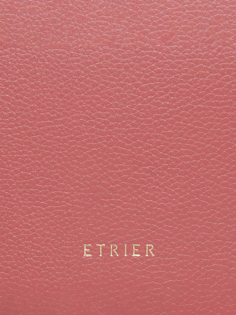 Sac Bandoulière Tradition Cuir Etrier Rose tradition ETRA0143 vue secondaire 5