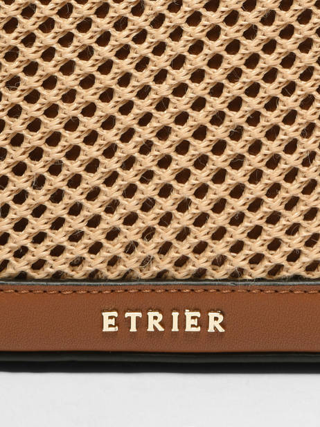 Sac Bandoulière Baobab Etrier Marron baobab EBAO186M vue secondaire 6