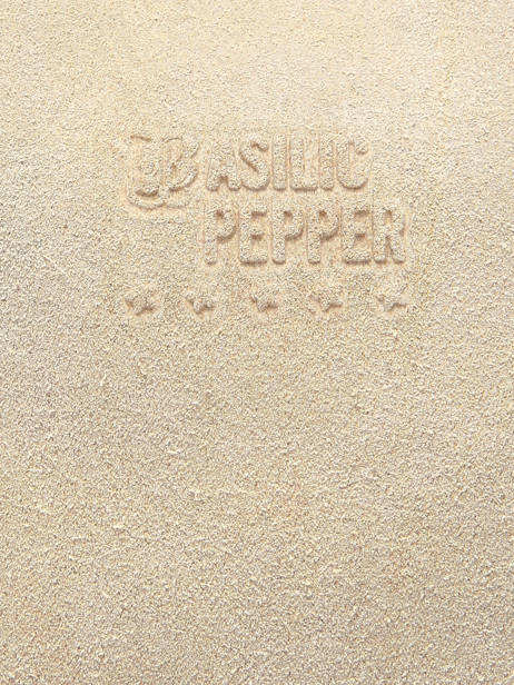 Sac à Main A4 Houston Cuir Basilic pepper Beige houston BHOU31 vue secondaire 4