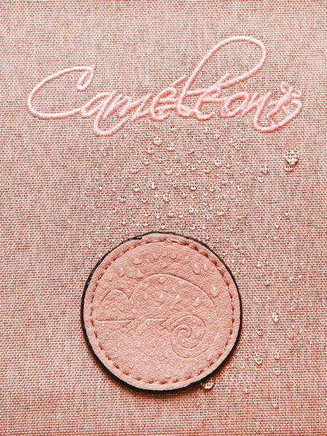 Cartable à Roulettes 2 Compartiments Cameleon Rose vintage color CR38 vue secondaire 9