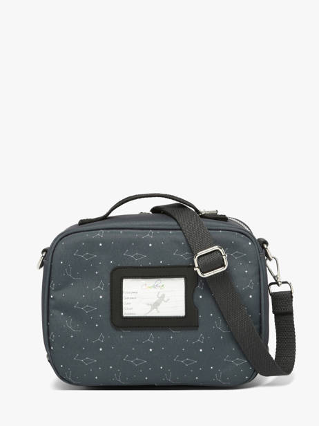 Lunch Bag Cameleon Gray vintage urban BL24 other view 5