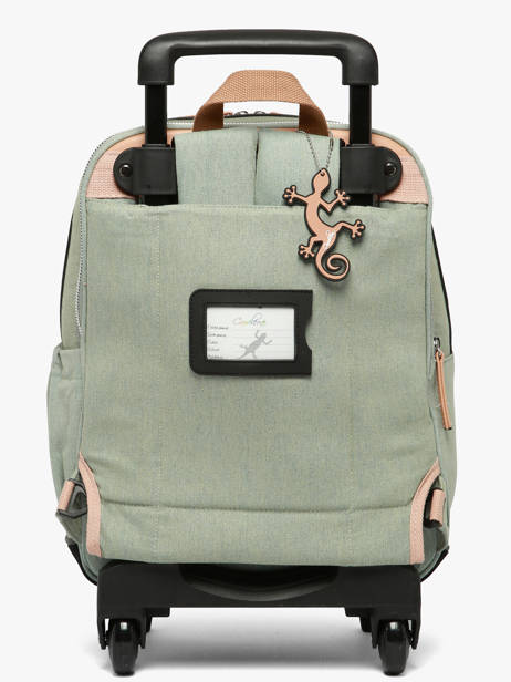 Sac A Dos à Roulettes 2 Compartiments Cameleon Rose vintage fantasy SR40 vue secondaire 6