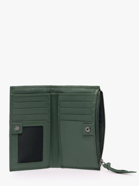 Portefeuille Cuir Biba Vert wallet VAW3L vue secondaire 1